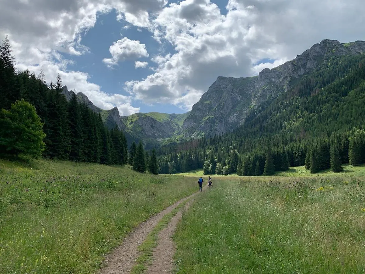 Dom Wypoczynkowy i Apartamenty Nabucco z widokiem na Giewont i Góry Zakopane Quarto em Acomodações Particulares