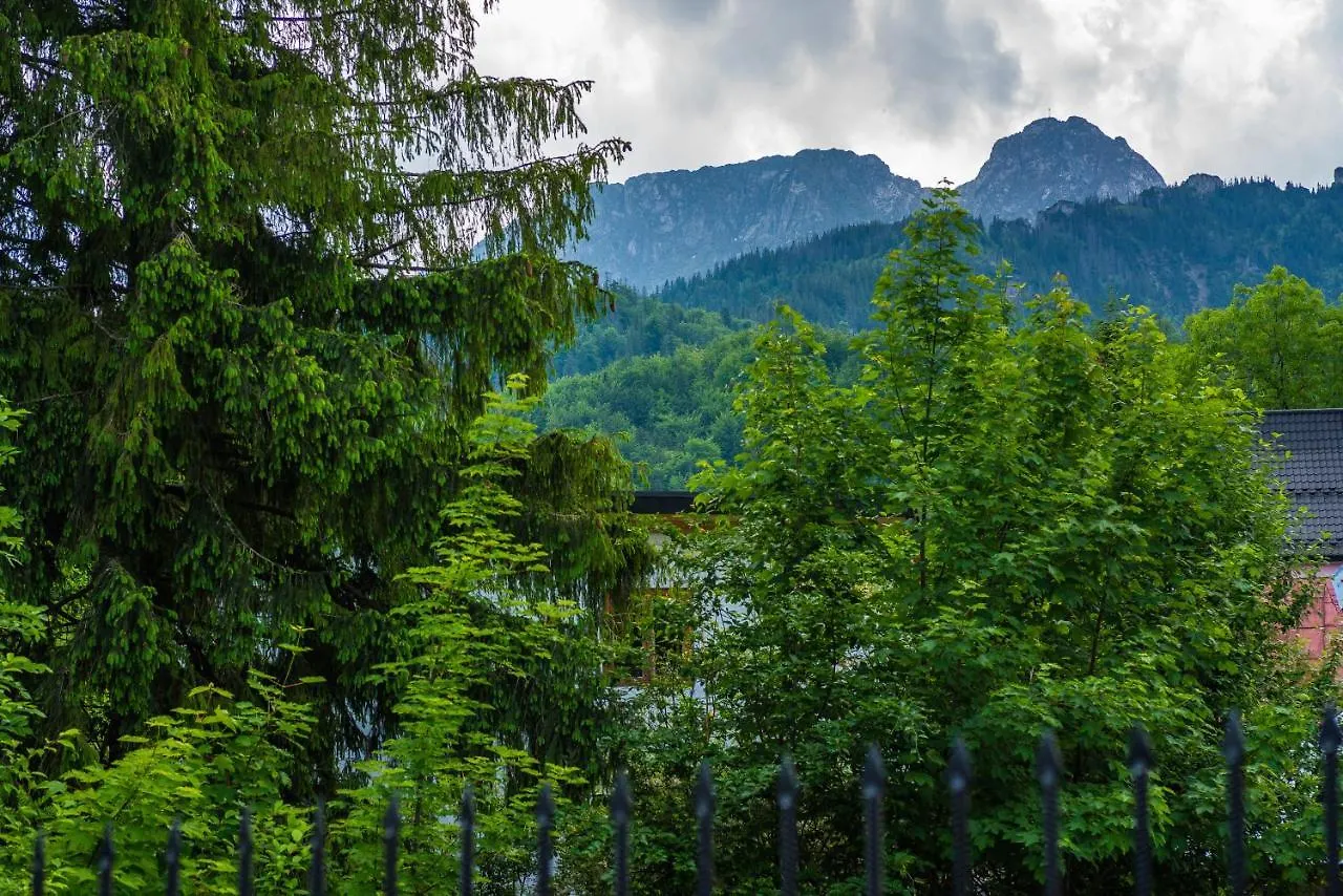Quarto em Acomodações Particulares Dom Wypoczynkowy i Apartamenty Nabucco z widokiem na Giewont i Góry Zakopane